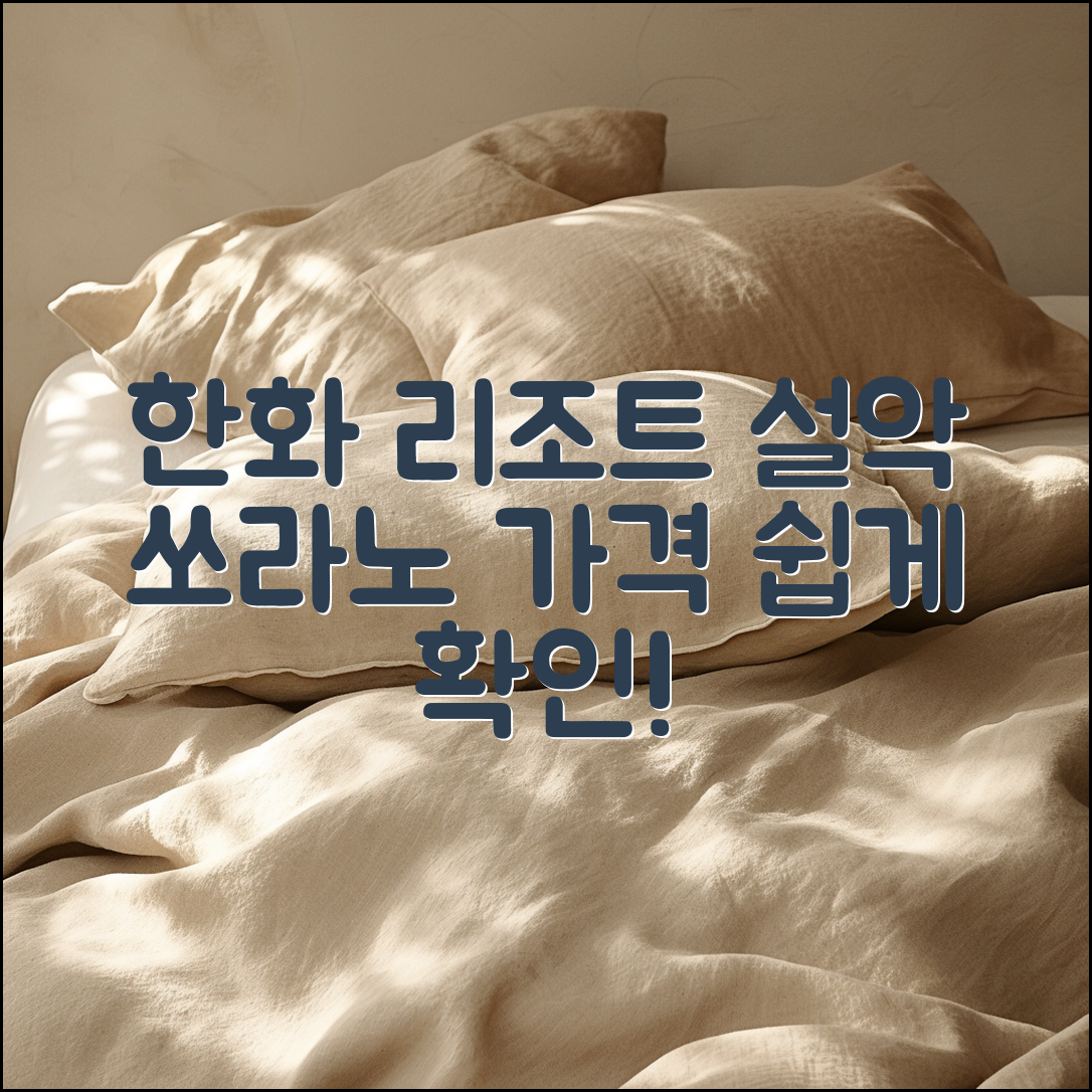 누구나 쉽게 알아보는 한화 리조트 설악쏘라노디럭스 가격