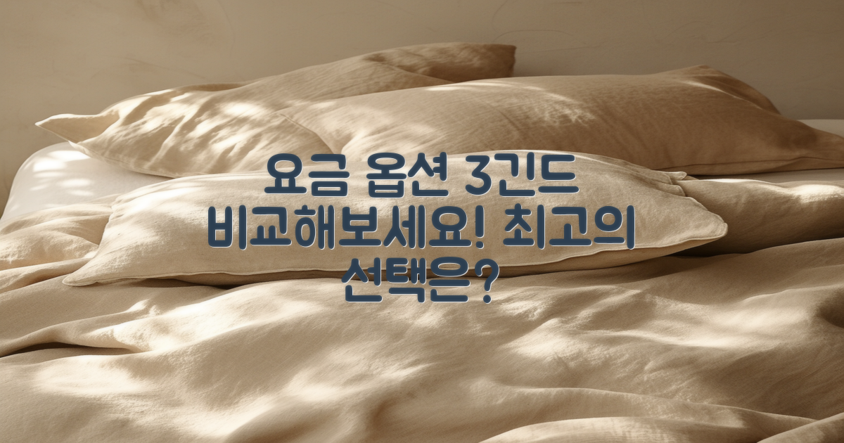 3가지 요금 옵션 비교