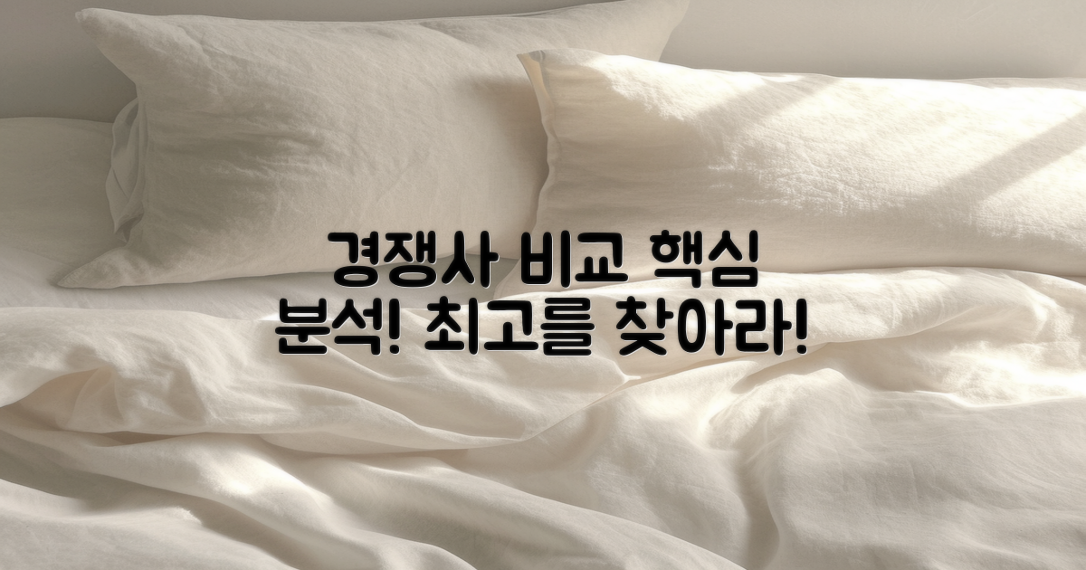 경쟁업체와의 비교