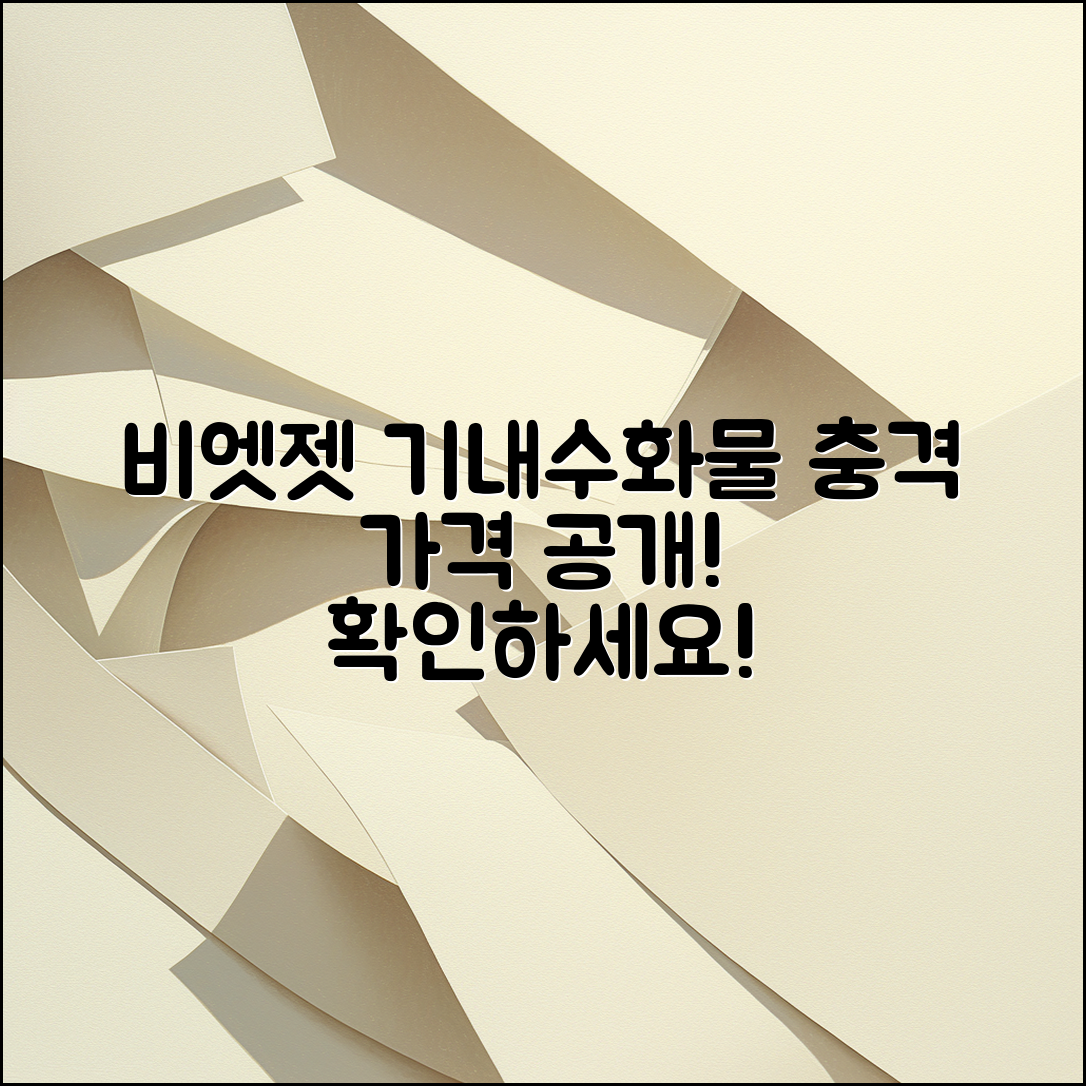 충격적인 비엣젯 항공 기내수화물규정 가격!