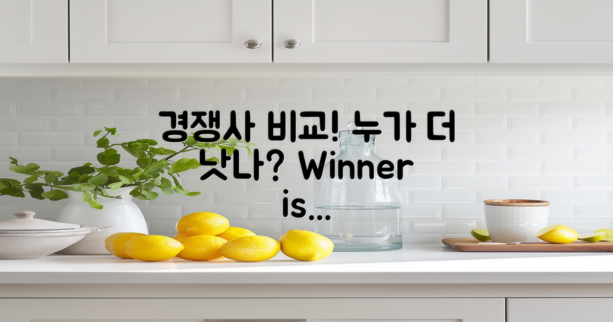 경쟁업체와의 비교