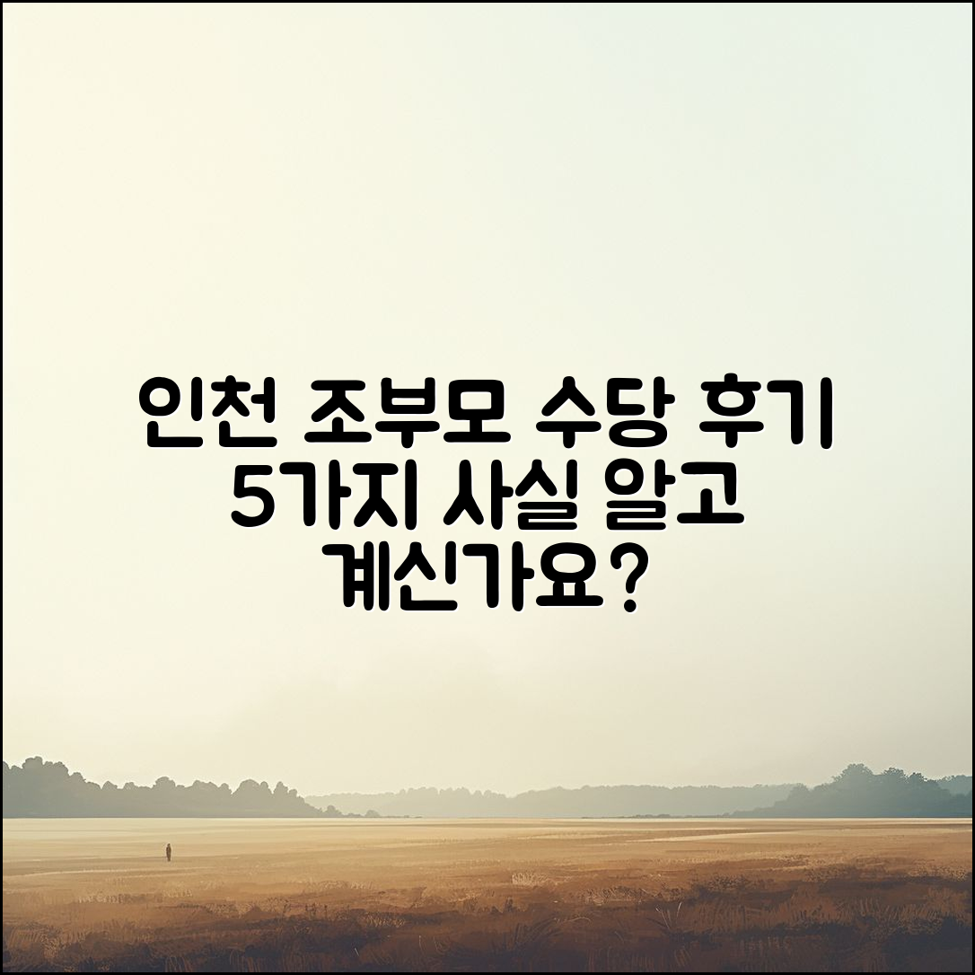 인천 조부모돌봄수당 후기 5가지 사실