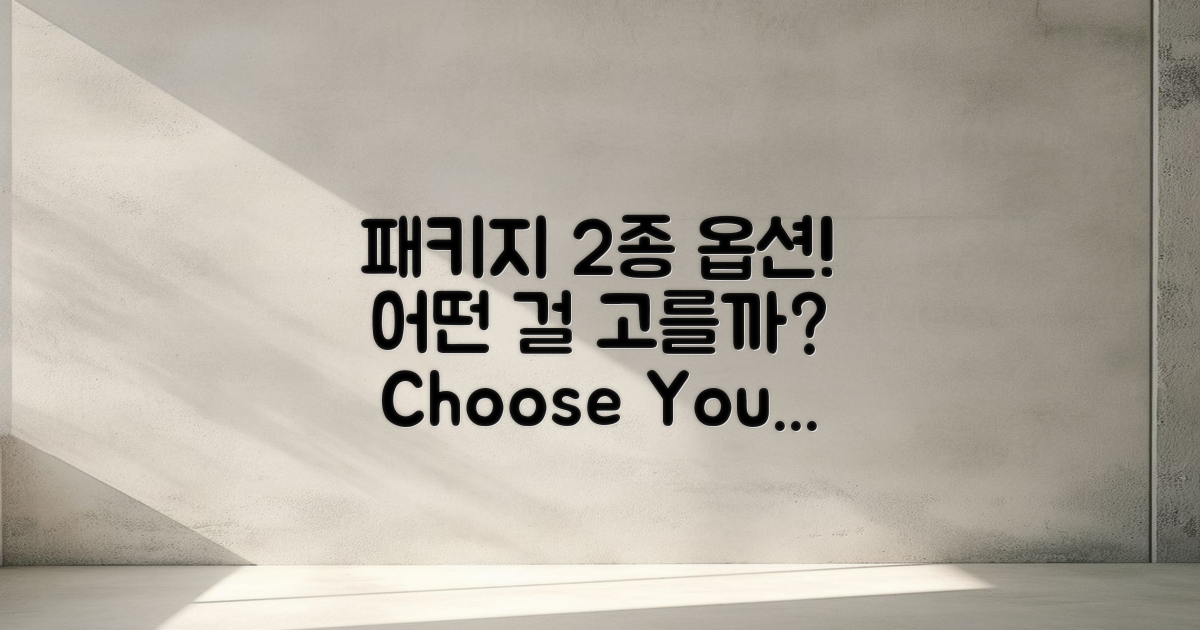 2가지 패키지 옵션