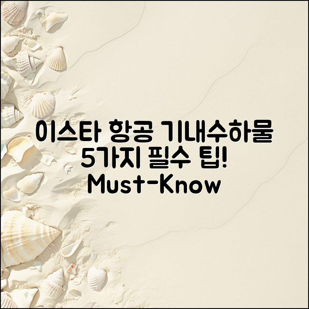 이스타 항공 기내수화물규정 5가지 필수 팁