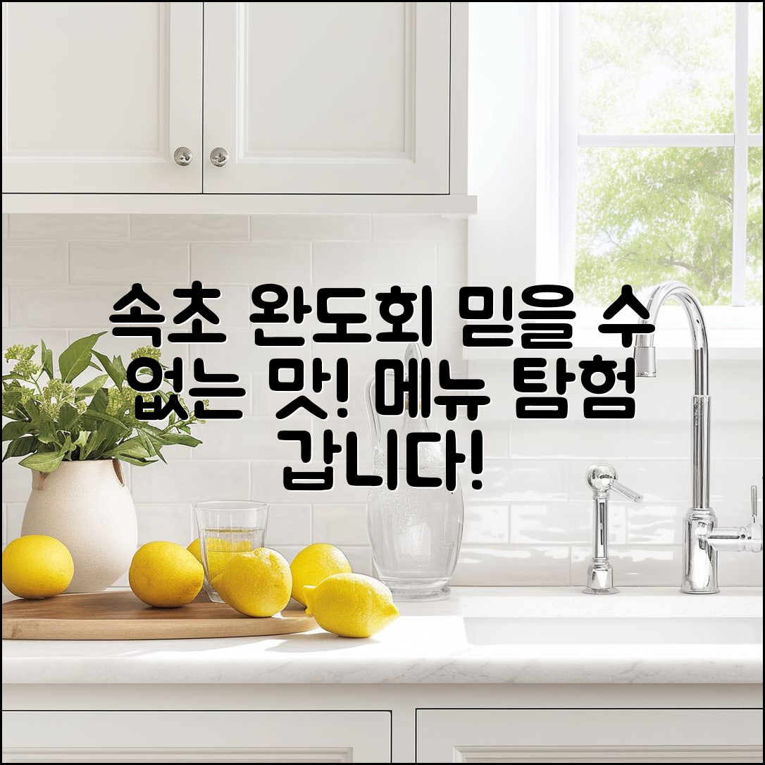 믿을 수 없는 속초 완도회 식당 메뉴 탐험!