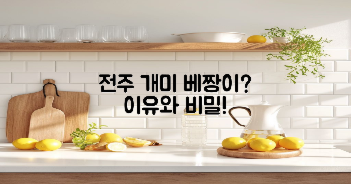 전주 개미와베짱이란?