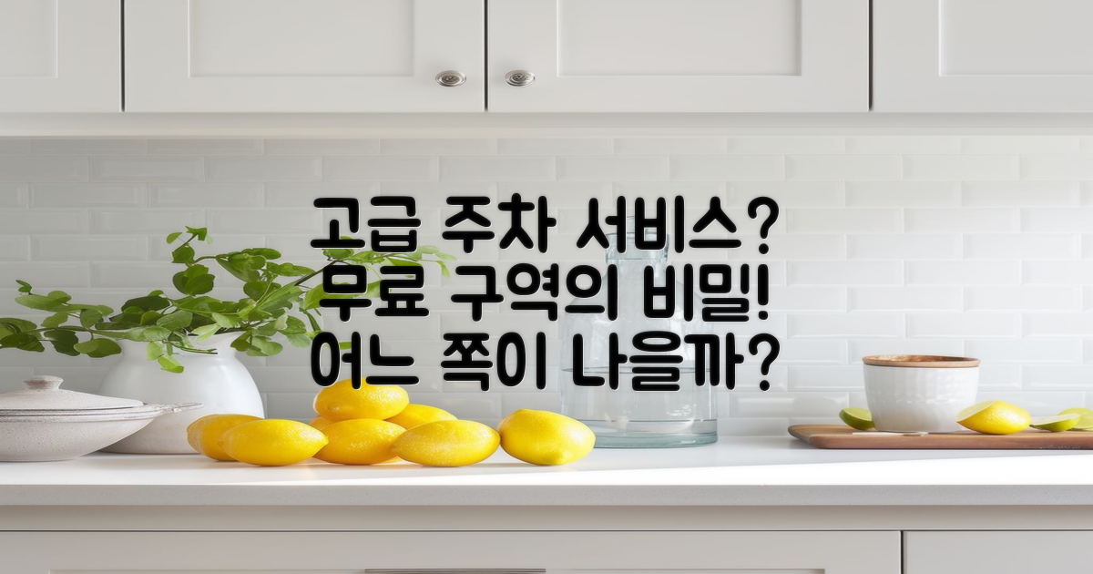 고급 주차 서비스 vs 무료 구역