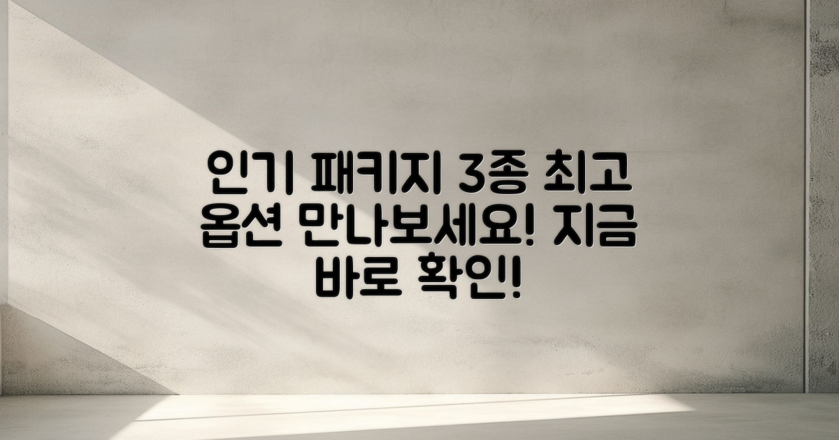 3가지 인기 패키지 옵션