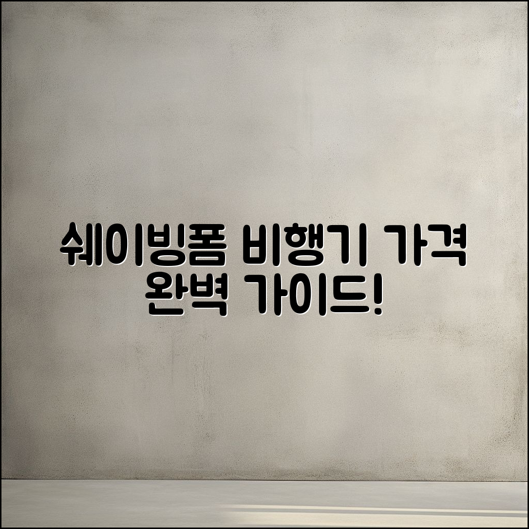 쉐이빙폼 비행기 가격 완벽 가이드