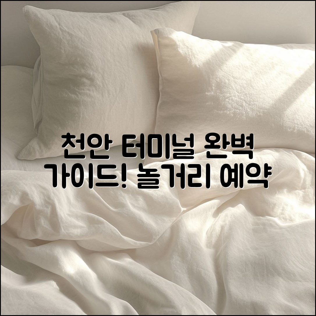 천안 터미널 놀거리 예약 완벽 가이드