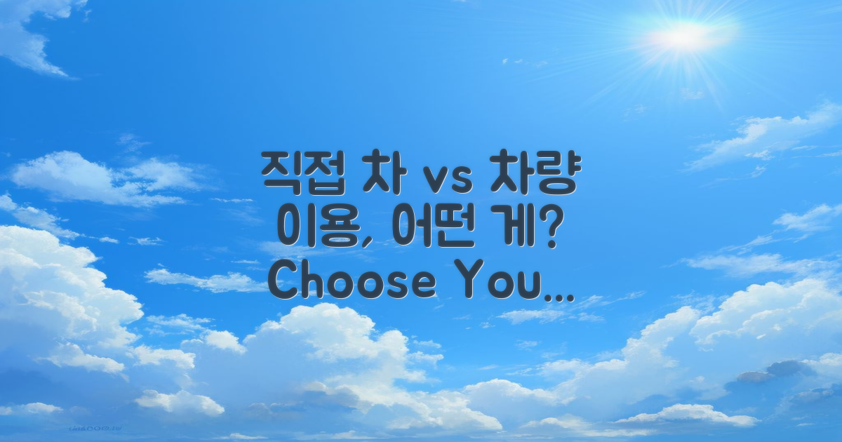 직접 차 vs 차량 이용