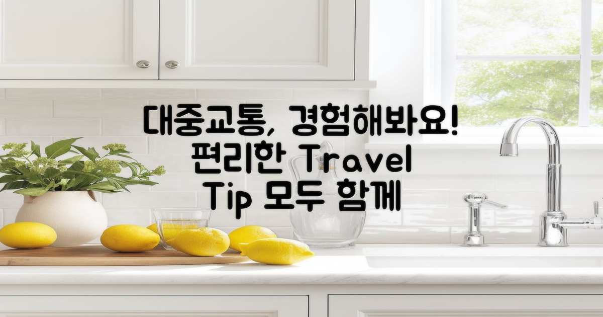 대중교통 이용해보세요