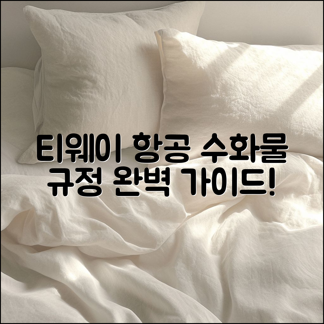 티웨이 항공 수화물규정 완벽 가이드