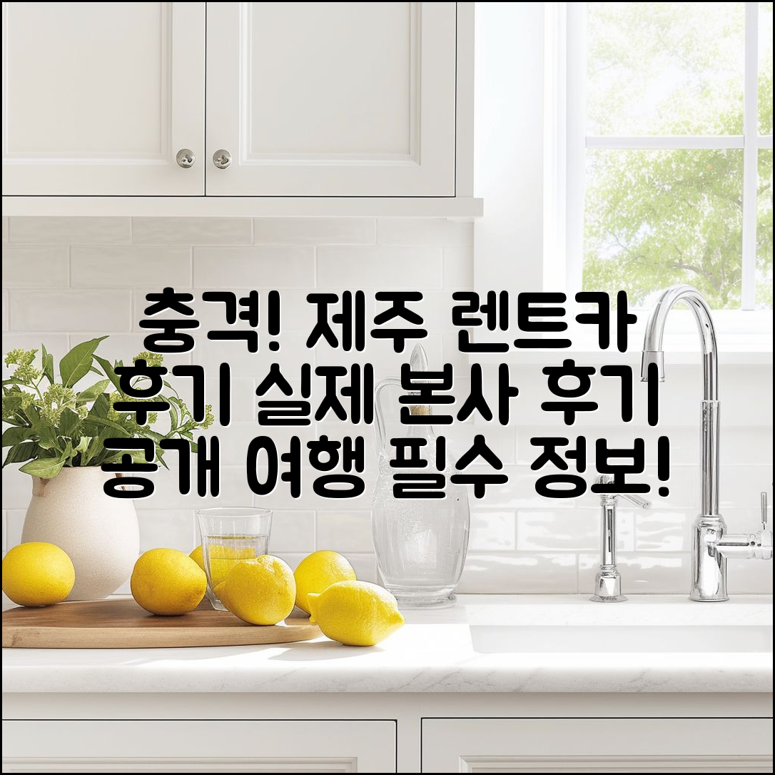 충격적인 제주 공항 렌트카본사 후기 공개!