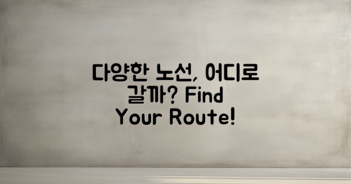 다양한 노선은 무엇이 있을까?