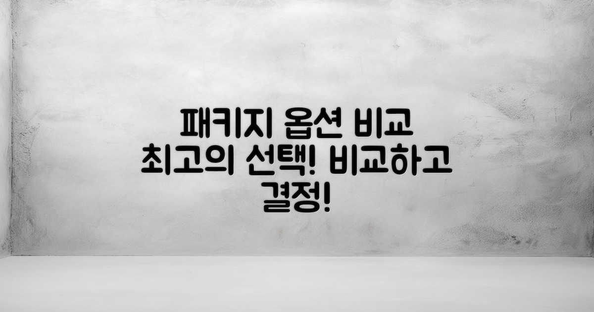 패키지 옵션 비교