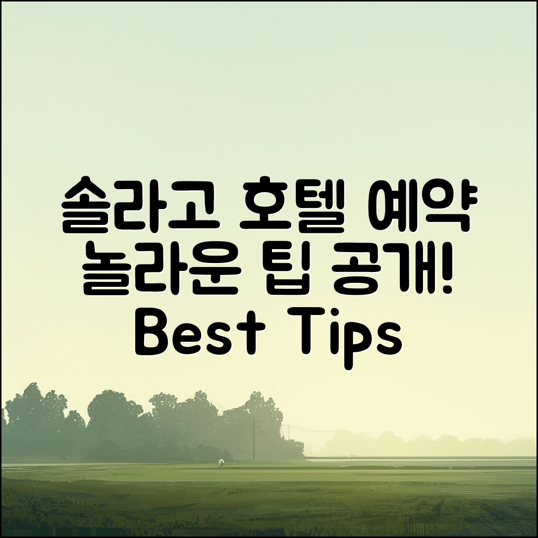 놀라운 솔라고 호텔 예약 팁 공개!