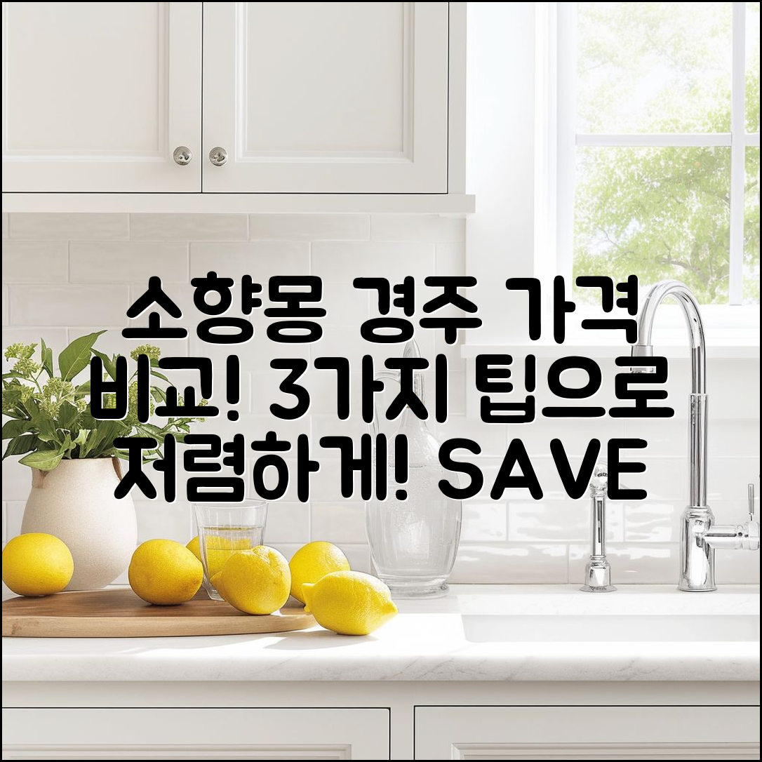 소향몽 경주 가격 비교! 3가지 팁