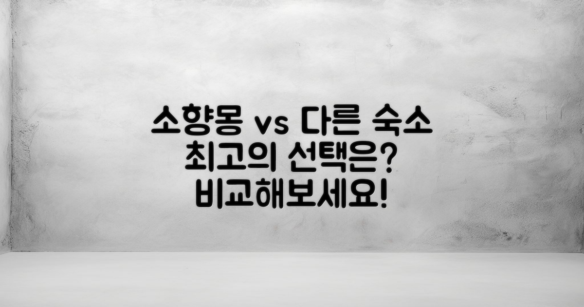 소향몽 vs 다른 숙소
