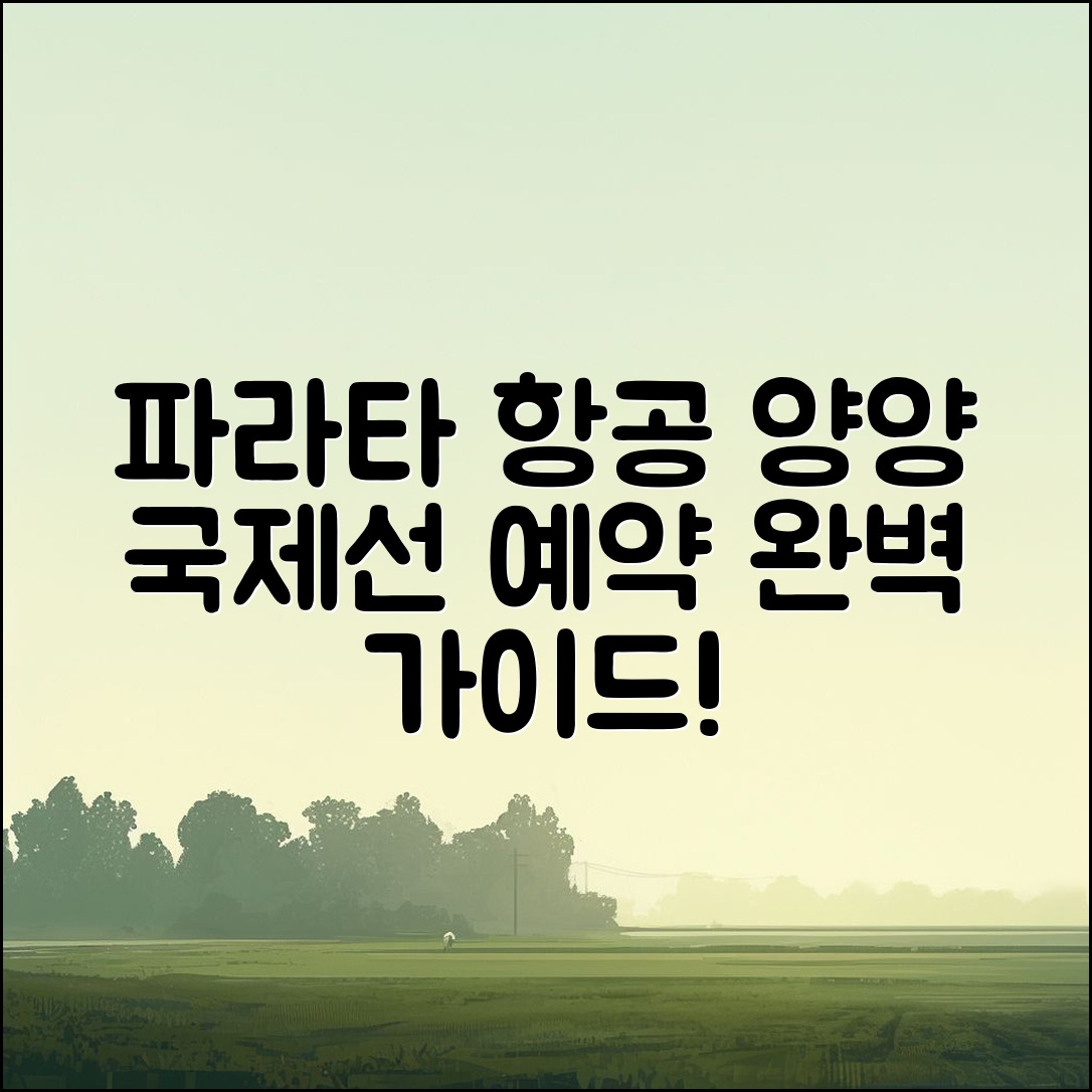 파라타 항공 양양국제선 예약 완벽 가이드