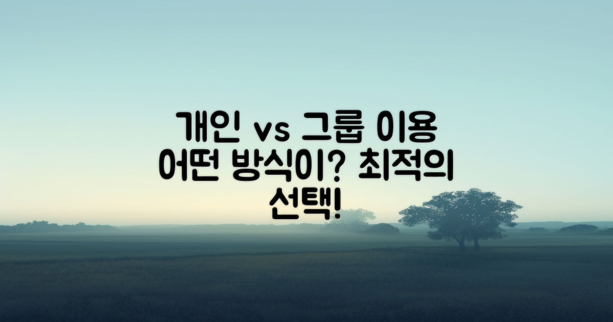 개인 vs 단체 이용 방식