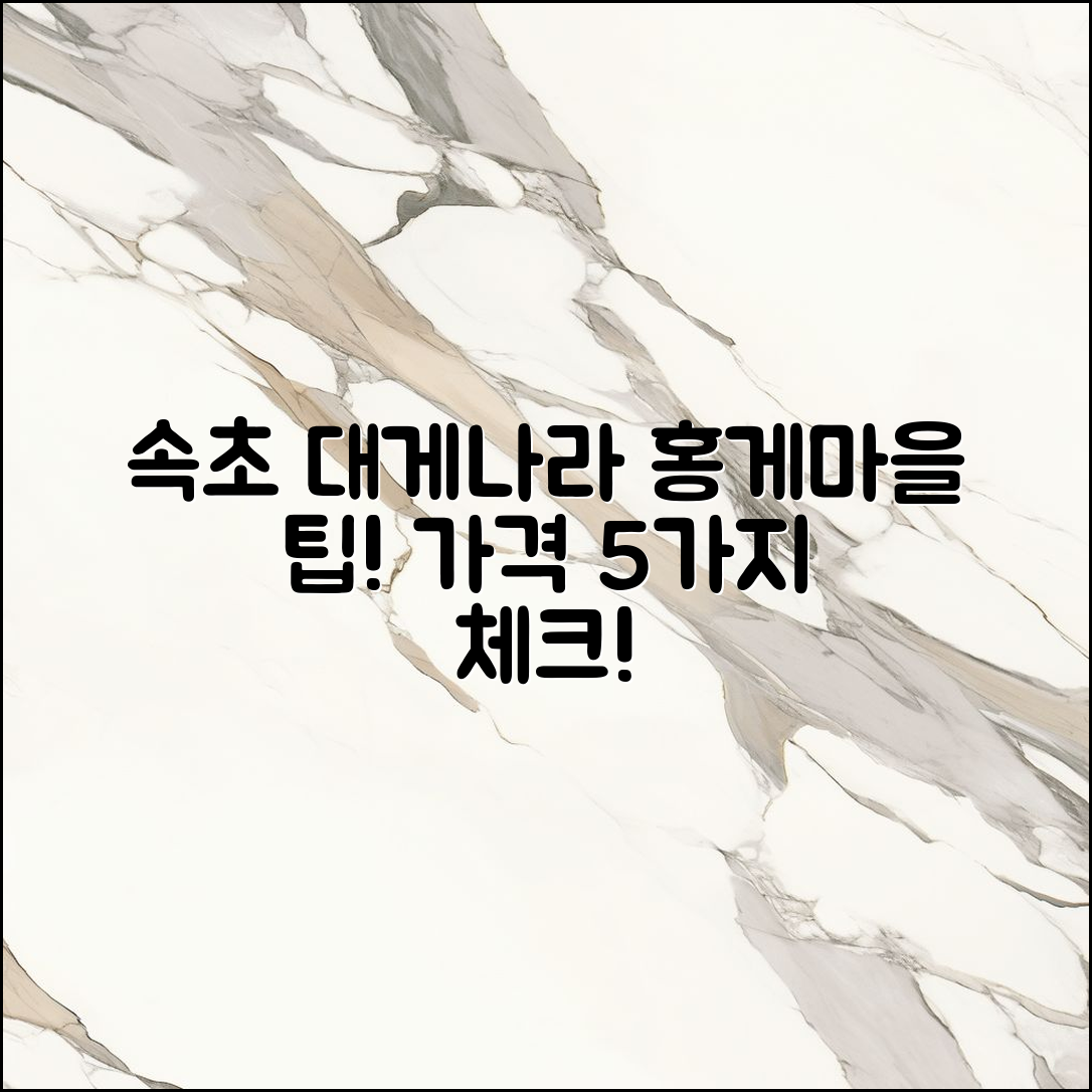 속초 대게나라홍게마을 가격 5가지 팁!
