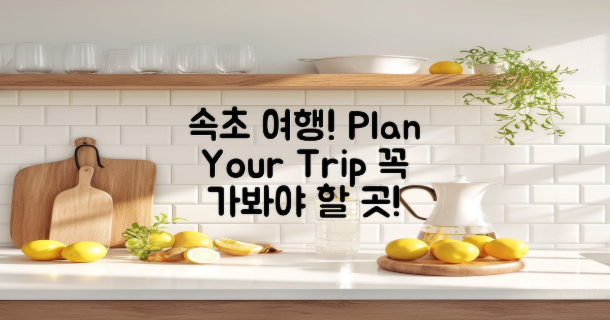 속초 여행을 계획하세요