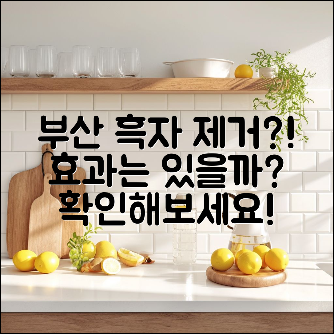 부산 흑자제거봄, 효과 있을까요?