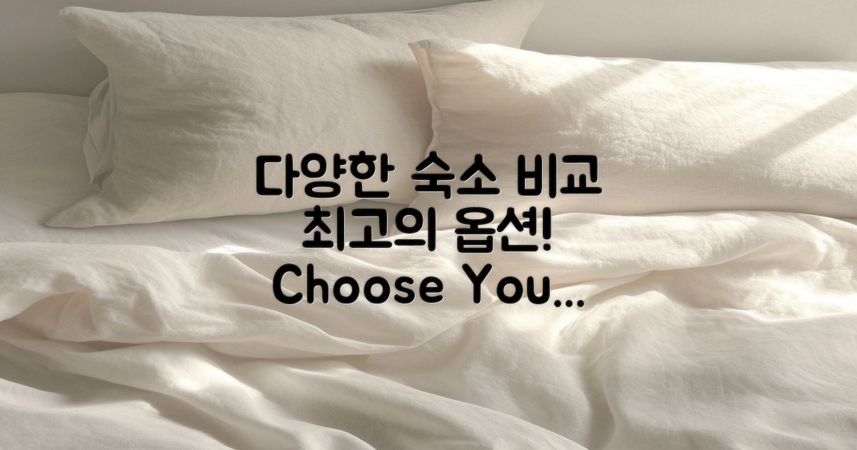 다양한 숙소 옵션 비교