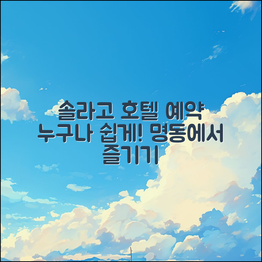 누구나 쉽게 하는 솔라고 명동 호텔 예약