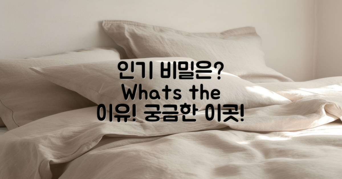 이곳의 인기 이유는 뭘까?