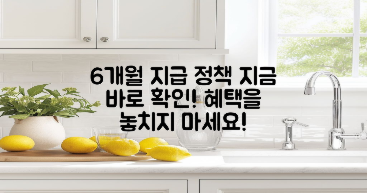 6개월간 지급 정책 설명