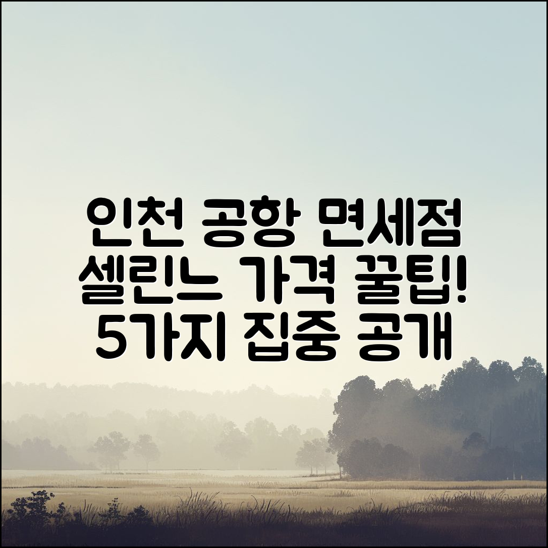 인천 공항 면세점 셀린느 가격 5가지 팁