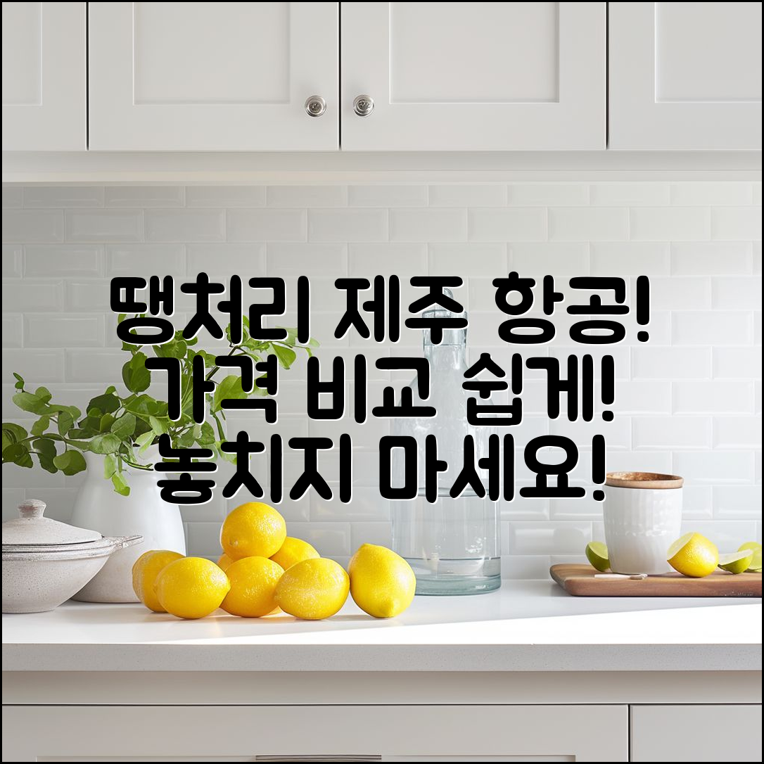 누구나 쉽게 찾는 땡처리 제주 항공 권 가격