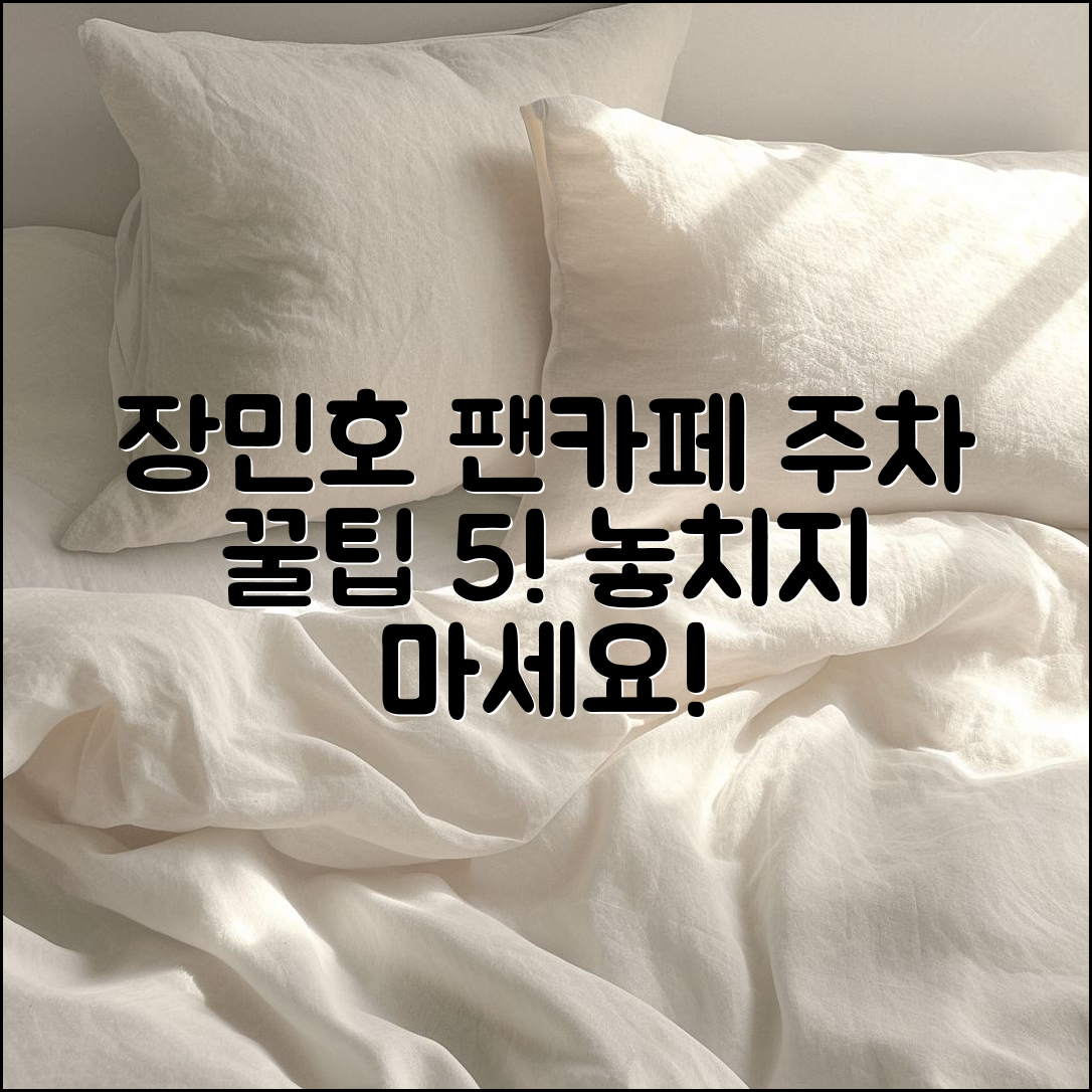 장민호팬 카페 주차 꿀팁 5가지!
