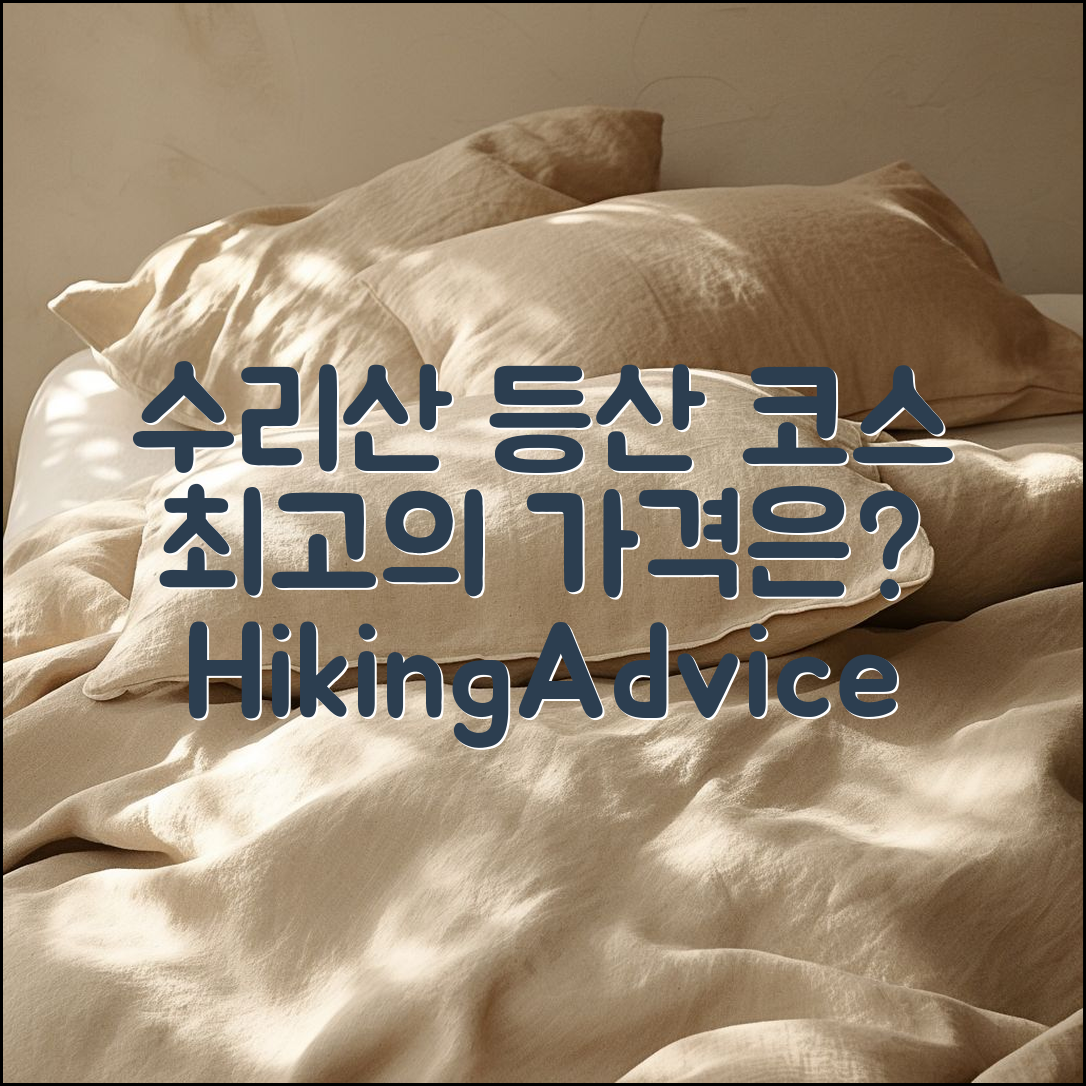 수리산 등산 코스, 어떤 가격일까요?