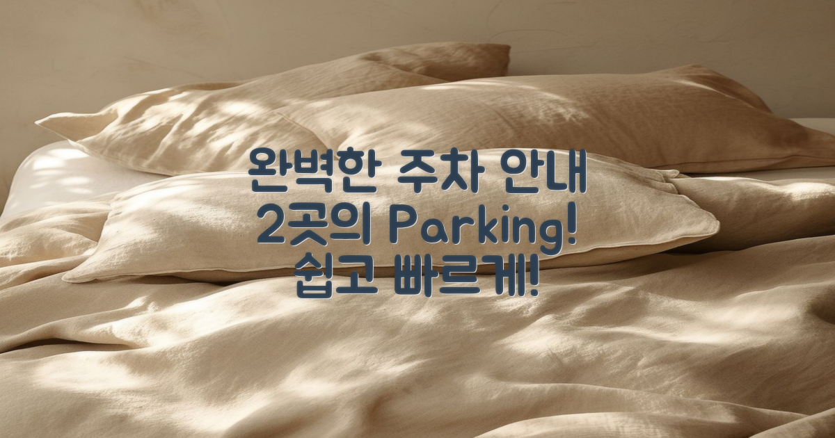 2곳의 주차장 완벽 안내