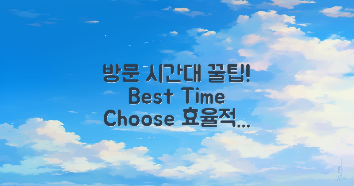 방문 시간대 선택 팁