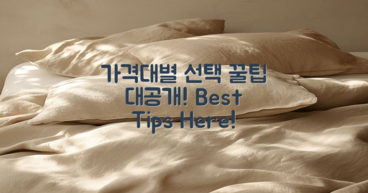 가격대별 선택 팁