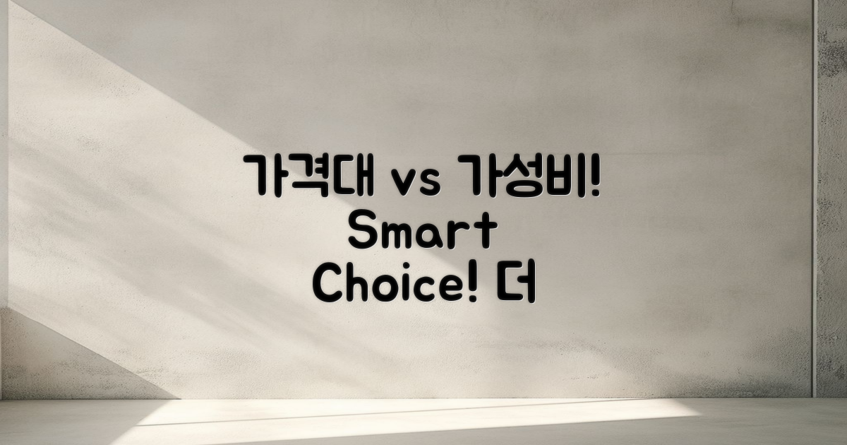 가격대와 가성비 비교