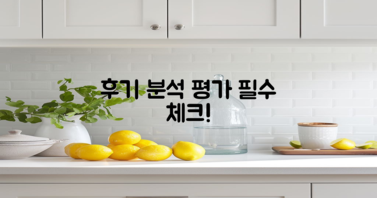 후기 분석 및 평가