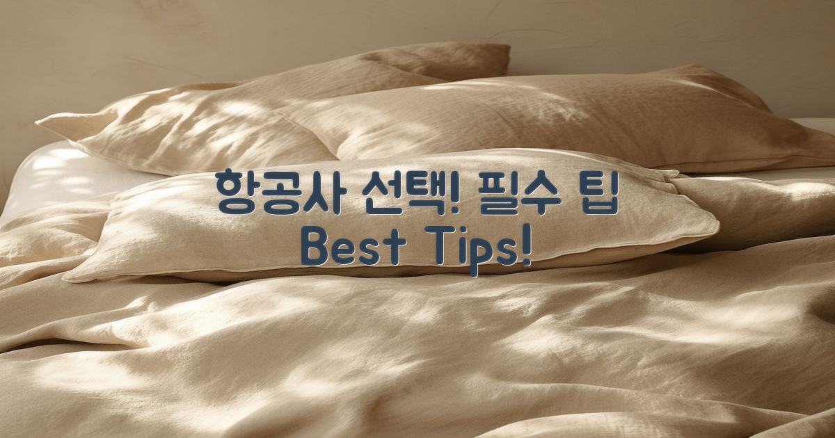 항공사 선택 팁