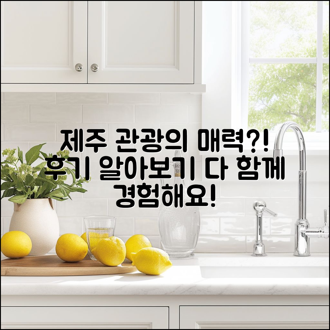 제주 도 관광 협회 후기, 어떤 매력이 있을까요?