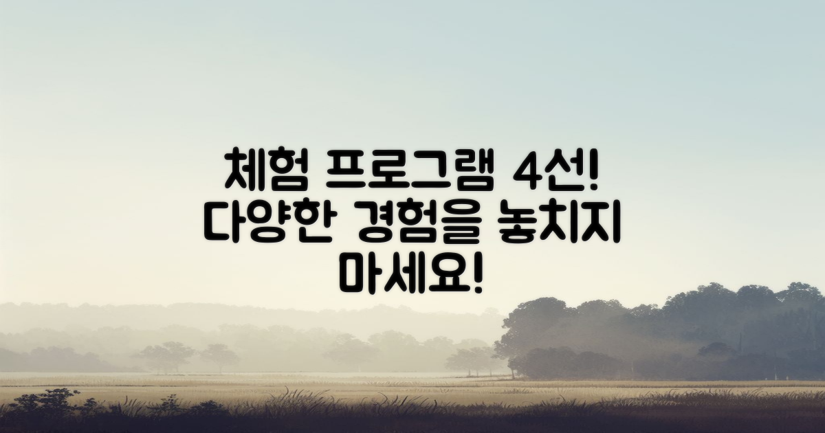 4가지 체험 프로그램 소개
