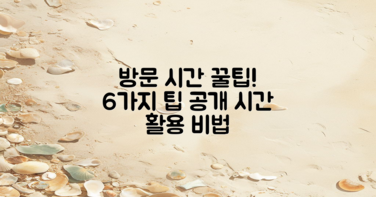 6가지 방문 시간 팁