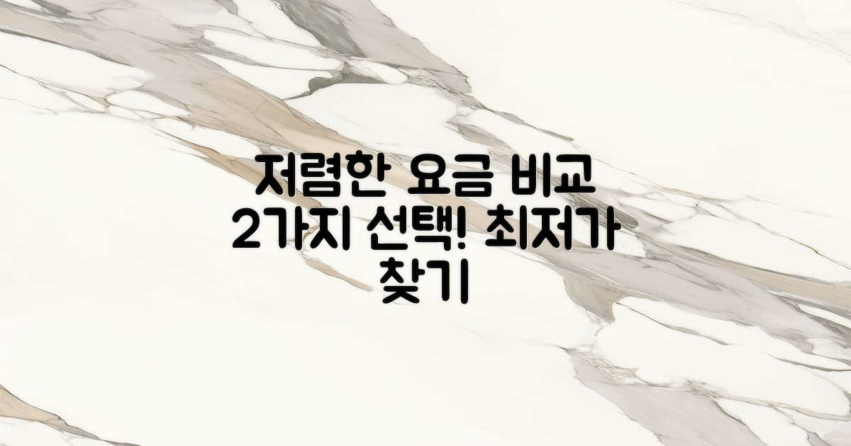 2가지 저렴한 요금 비교