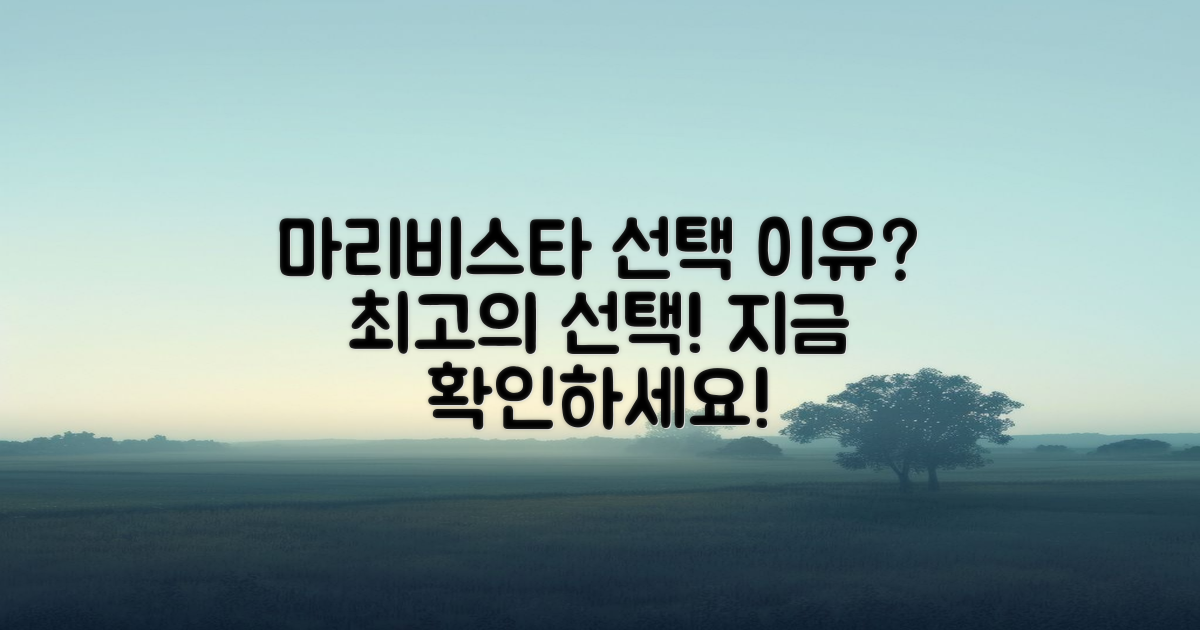 왜 마리비스타를 선택할까?