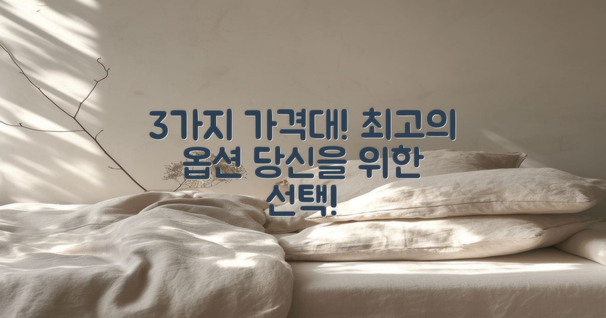 3가지 가격대 옵션