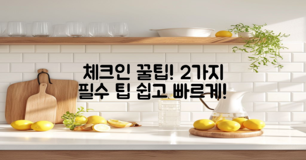 2가지 체크인 꿀팁