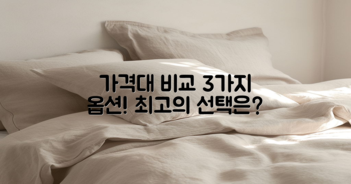 3가지 가격대 비교